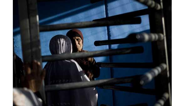 Pictures of the Week