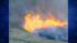 brush fire