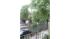 Tree down in Corona, Queens