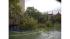 Storm damage in Park Slope, Brooklyn