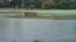 Flooding in Old Greenwich, CT submitted by Dana...
