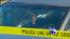 Investigation into Pace Univ. student shooting ::
