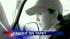 Chilling tape of a woman on trial for her... ::