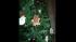 The Le Parker Meridien Gingerbread houses are...