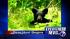 New Jersey bear hunt begins Monday ::
