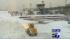 Air travel halted by the blizzard ::