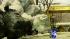 City continues to deal with garbage pickup ::