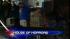 Dead and dying animals found in Shirley home ::
