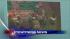 Investigation into horrific bus accident in... ::