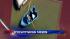 NJ flooding prompts emergency rescues ::