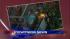 14 killed in horrific Bronx bus crash ::
