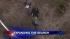 Three more human remains found on Long Island ::