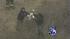 Search continues on Gilgo Beach ::