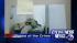 Accusor to be cross-examined in NYPD rape trial ::