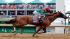 John Velazquez rides Animal Kingdom to victory...