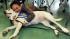 In addition, the school partners with Paws for...