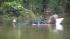 Flooding hits hard again along the Passaic ::