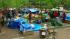 Occupy Wall St. protesters plan cleanup ::