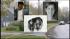Investigation continues into murder suicide... ::