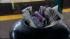 MTA proposes to remove trash cans from subway... ::