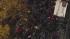 Several confrontations at Occupy Wall Street... ::