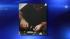 Jose Pimentel arrested in alleged terror plot ::