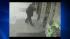 Attempted rapist on the loose in Brooklyn ::