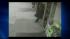2 elderly women attacked inside Brooklyn store ::