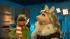 kermit the frog miss piggy muppets