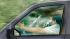 cell phone driving