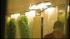 Investigation continues into Midtown elevator... ::