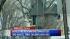 Two adults, 3 children killed in fire ::