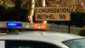 Synagogue firebombed