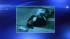 Dropped shopping cart injures two men ::