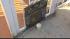 Questions surround Brooklyn police involved... ::