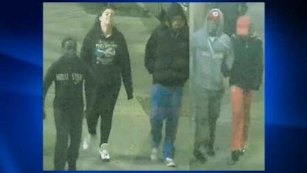 fort greene park suspects