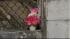 Investigation continues into toddler death ::
