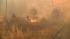 Wildfire buring in Suffolk County ::