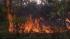 Evacuated residents return to brush fire damage ::