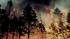 Hotspots remain after Suffolk County brush... ::