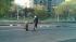 bronx hit and run