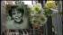 Patz search ends in SoHo basement; no human... ::