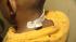 Boys in Bronx school attack say they are the... ::
