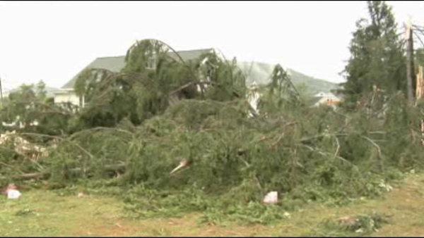 Possible tornado touches down in Elmira | 7online.