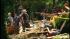 Propane tanks are cause of Brentwood explosion ::