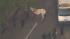 Horse breaks free from carriage with tourists... ::