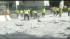 Human error blamed for MTA construction blast ::