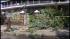 Brooklyn and Queens hammered by early storms ::