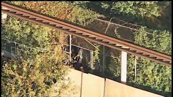 Man critical after jumping in tiger den at Bronx Zoo from monorail ...