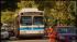 Two frightening attacks on MTA bus drivers ::